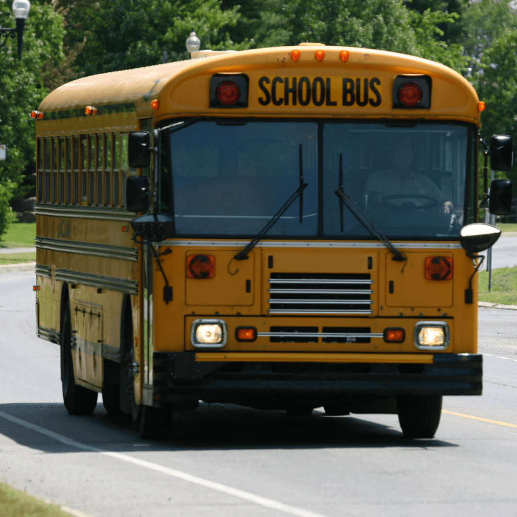 Professional School Bus Safety System
